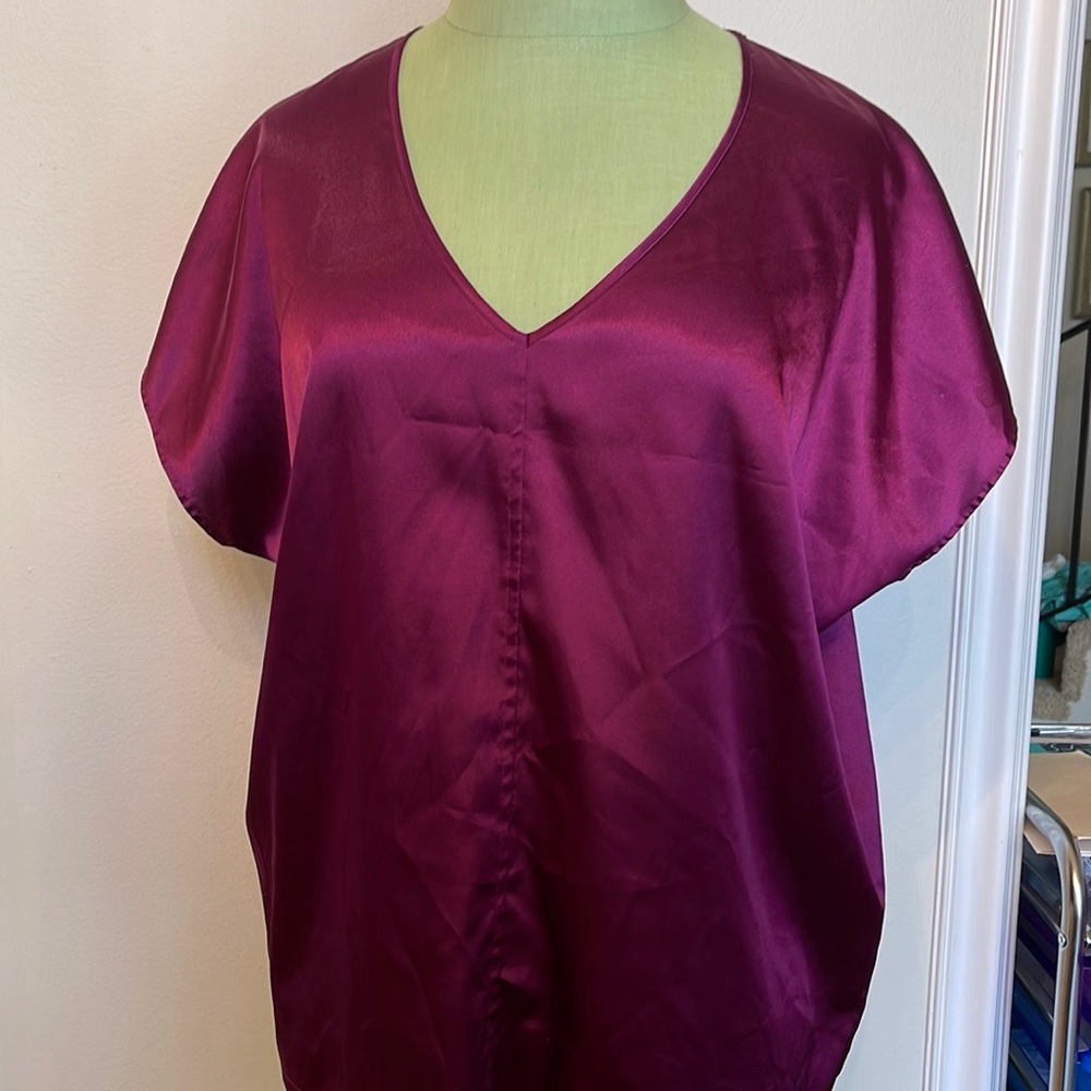 Silk V-Cut Blouse